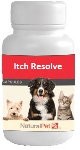Itch Resolve (Cool Itch) - 100 Capsules